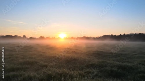 Field dawn