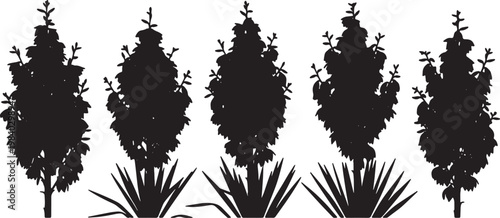 Blooming Yucca Plant Silhouettes