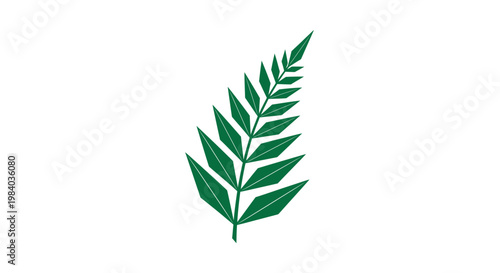 Green leafy plant branch with leaves.