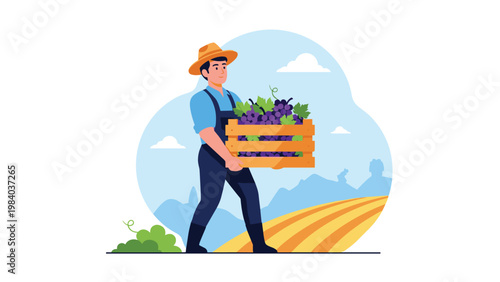 Hardworking farmer carries a heavy wooden crate filled with fresh purple grapes through a sunlit vineyard field during harvest season.