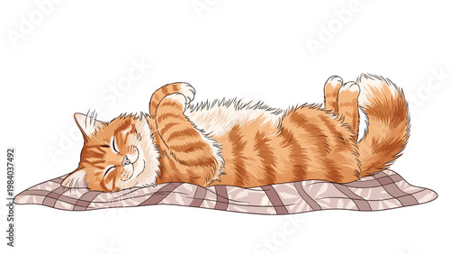 Adorable ginger tabby cat sleeps peacefully on its back with its paws curled up on a soft checkered blanket in a cute pose.