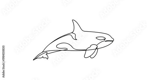 Simple line drawing of an orca swimming on a white background with minimalist style.