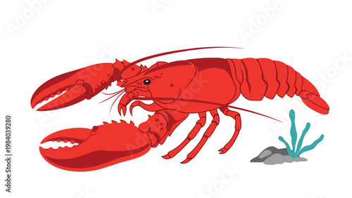 Detailed illustration of a large red lobster with long antennae and powerful claws crawling near a rock and some seaweed on the ocean floor.