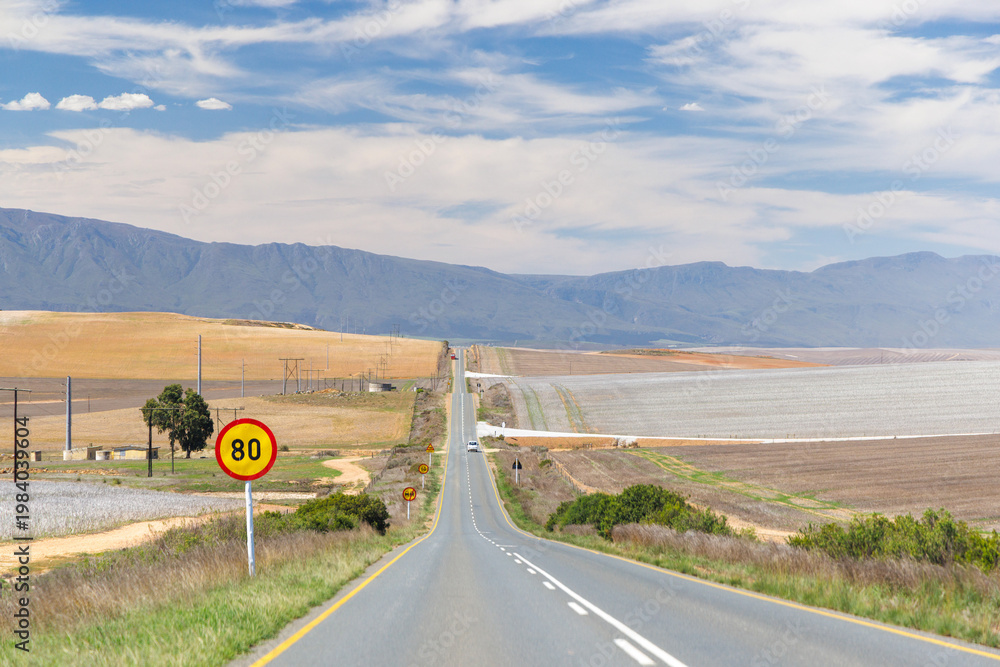 Naklejka premium Asphalt road in South Africa surrounded by fields