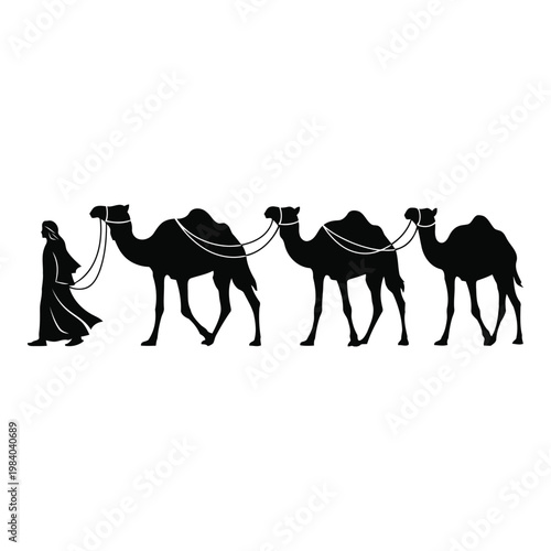 A silhouetted man in traditional desert attire leads a caravan of three camels across the sand in a stylized artistic depiction vector on white background