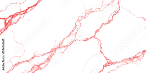 Schilderij op canvas Elegant white marble surface featuring intricate and bold veins in a vibrant sha