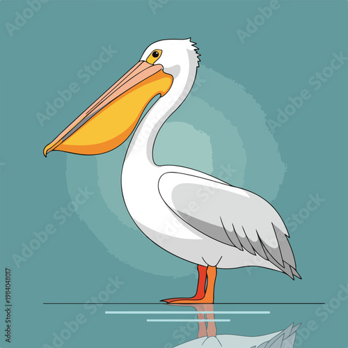 Large white pelican standing alone.