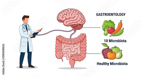 Doctor Explains Gut-Brain Axis: Healthy Microbiota, Diet, and Gastroenterology Concept
