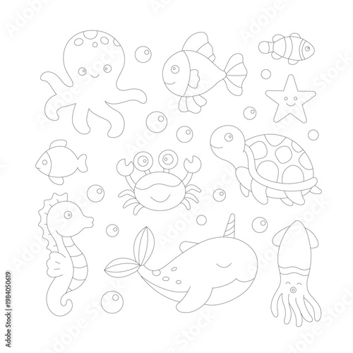 Sea animal