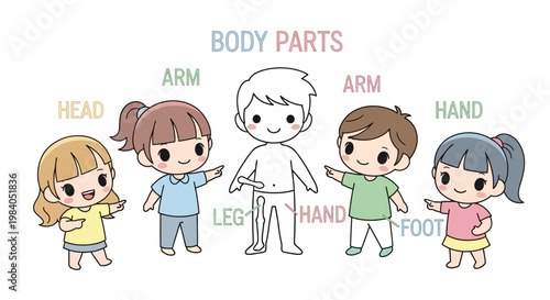 Cartoon children body parts labels.