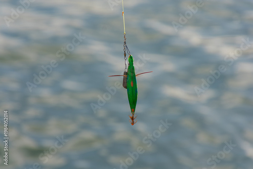 Detail of a fluorescent squid jig with steel hooks for catching cephalopods