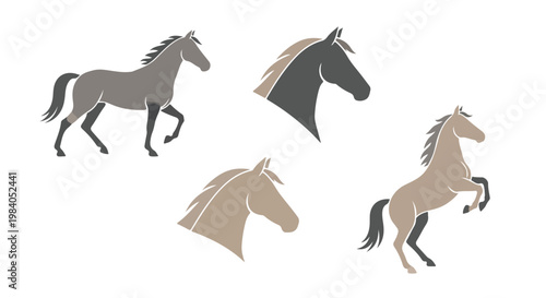 Silhouette illustrations of four horses in various poses against a plain white background.