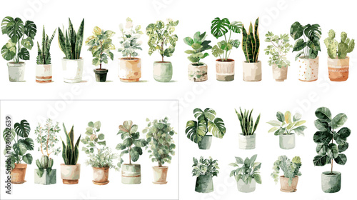 Watercolor indoor plant collection with potted tropical and house plants, ideal for home decor, botanical branding, interior design, posters and natural lifestyle themes.