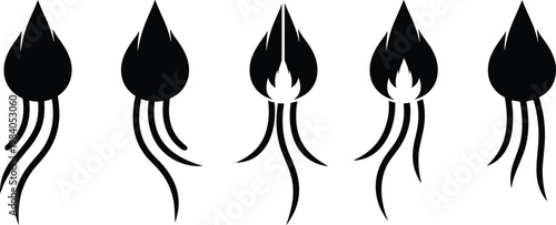 Abstract minimal oil lamp or plant icon set showing different stages of growth and opening on transparent background.
