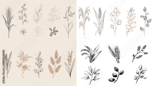 Hand drawn botanical elements set with delicate wild plants, dried flowers and leaves in minimal neutral tones, perfect for natural design, branding and decorative compositions.