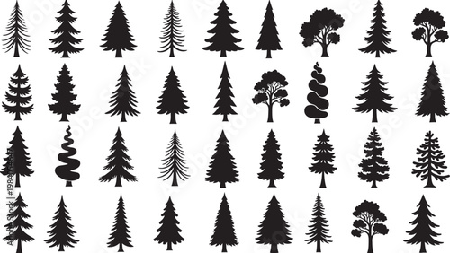 A collection of silhouetted evergreen and deciduous trees in various shapes and sizes