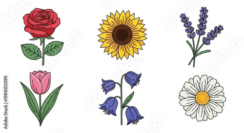 A vibrant collection of colorful floral vectors and blossoms featuring roses, sunflowers, and daisies for a decorative summer plant illustration set