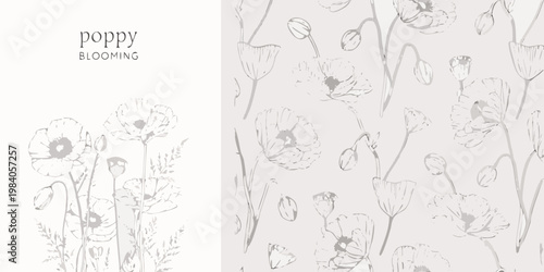 Vászonkép Delicate botanical illustration of blooming poppy flowers and seed pods