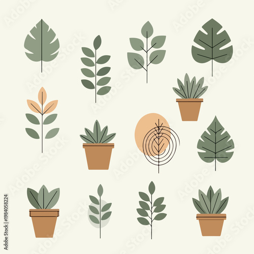 Potted plants with various green leaves.
