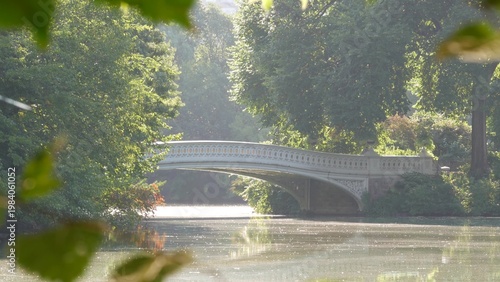 New York City Central Park nature oasis. Bow Bridge and lake in summer day, United States. Pond water and greenery in morning light. Autumn fall leaves and Manhattan architecture landmark of NYC, USA.