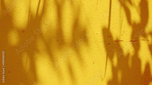 Orange background shadow leaves pastel brown abstract backdrop summer naturedesert, template travel luxury design wallpaper surface display for presentation product cosmetic, minimalist pattern