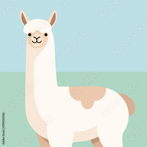 White Llama Standing Alone Portrait.