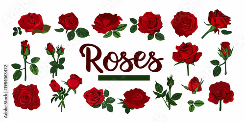 A collection of vibrant red roses with stems and handwritten lettering