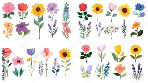 Hand drawn wildflower collection with colorful blossoms stems and leaves in decorative style for spring garden wedding invitation and floral design