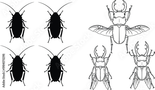 Insect Silhouette Collection with Cockroach and Beetle Shapes Outline Bug Icons Black and White Vector Illustration Set