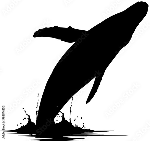 Black Silhouette of Humpback Whale Breaching and Splashing in Water Vector Graphic Illustration isolated on White Background