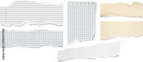 Grid exercise book pieces and torn ruled copybook pages vector set