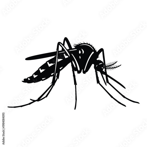 Black and white illustration of a mosquito insect side view  closeup of a mosquito