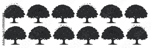 Set of 12 Black Tree Silhouettes Vector Icons