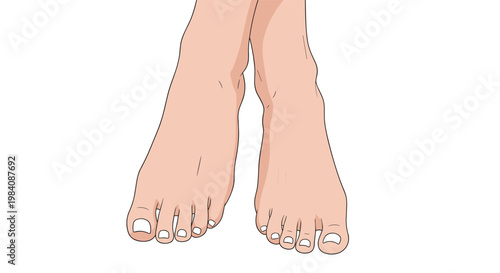Close up illustration of bare human feet with toes crossed against a plain white background for health and wellness themes.