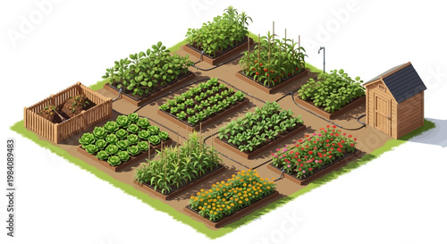 An isometric image of a vibrant garden with various plants growing in raised beds and a small wooden shed nearby surrounded by lush greenery on a sunny day outdoors.