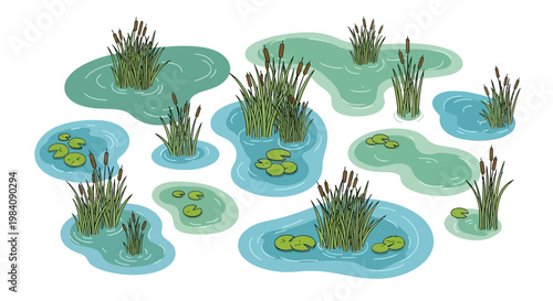 The serene pond scene features lily pads floating on water surrounded by cattails and aquatic plants in a natural setting.