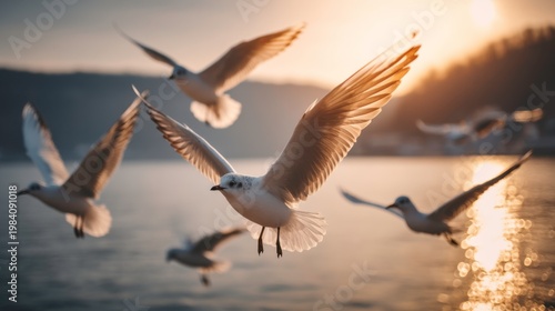 Seagulls in flight at sunset over water nature photography tranquil evening aerial perspective wildlife beauty