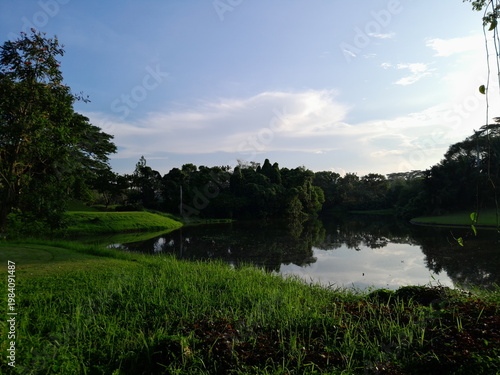 outdoor green park with pond
