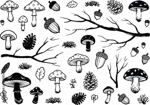 Whimsical forest illustration with mushrooms and foliage for nature and wildlife designs