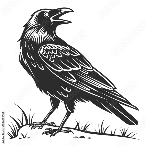 Graphic illustration of a black raven standing on grass with an open beak