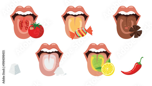Informative illustrations of human tongues tasting different flavors like sweet, sour, spicy, and bitter with associated food icons.