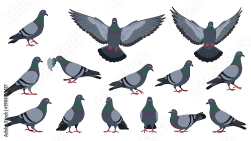 Collection of city pigeons in different poses including flying, walking, and pecking, showing various movements on a clean white background.