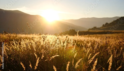 Golden wheat field at sunset landscape.