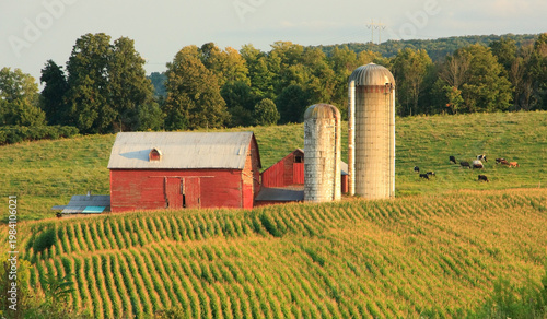 Fotografía Farm field on a summer afternoon near Amsterdam, New York
