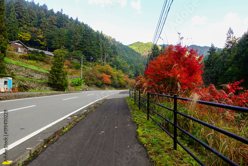 Scenic roadside on Shikoku Henro with vibrant red autumn foliage and mountain landscape in rural Japan