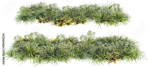 A garden decorated with flowers and small grass on a transparent background.