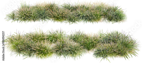 A garden decorated with flowers and small grass on a transparent background.