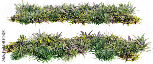 A garden decorated with flowers and small grass on a transparent background.