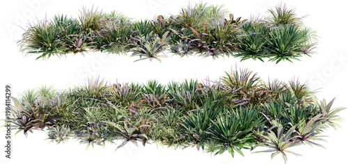 A garden decorated with flowers and small grass on a transparent background.