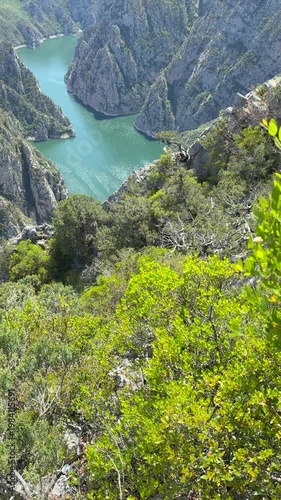 Mountain river in a canyon against a background of green forest and blue sky